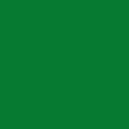 GREEN-MIDAS TOUCH SOLIDS Cotton