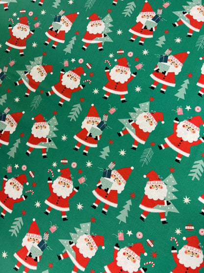 Wonderful Christmas Time- Santa Joy